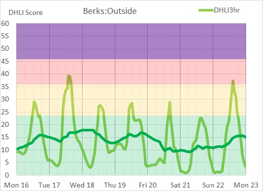 Dairy Cow Heat Stress