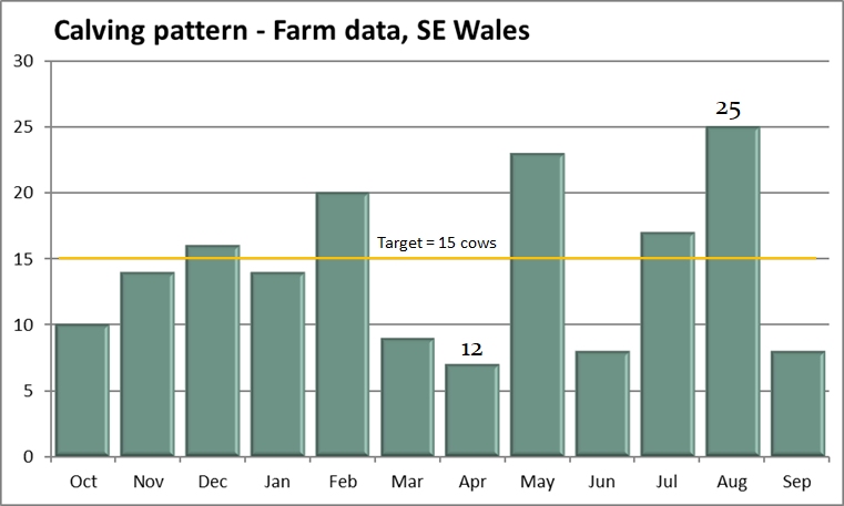 Calving pattern